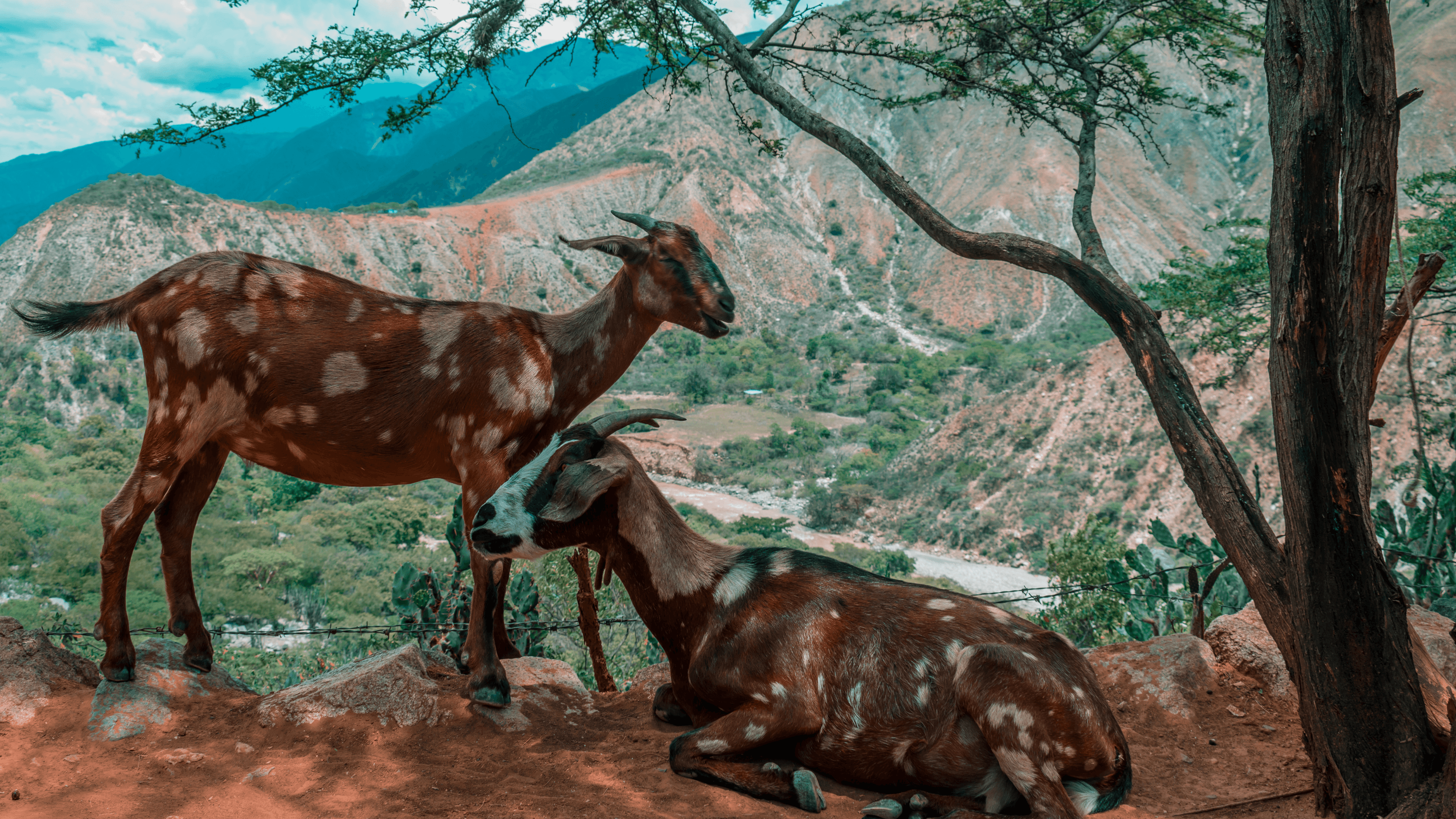 Paisaje de Santander, Colombia - 81