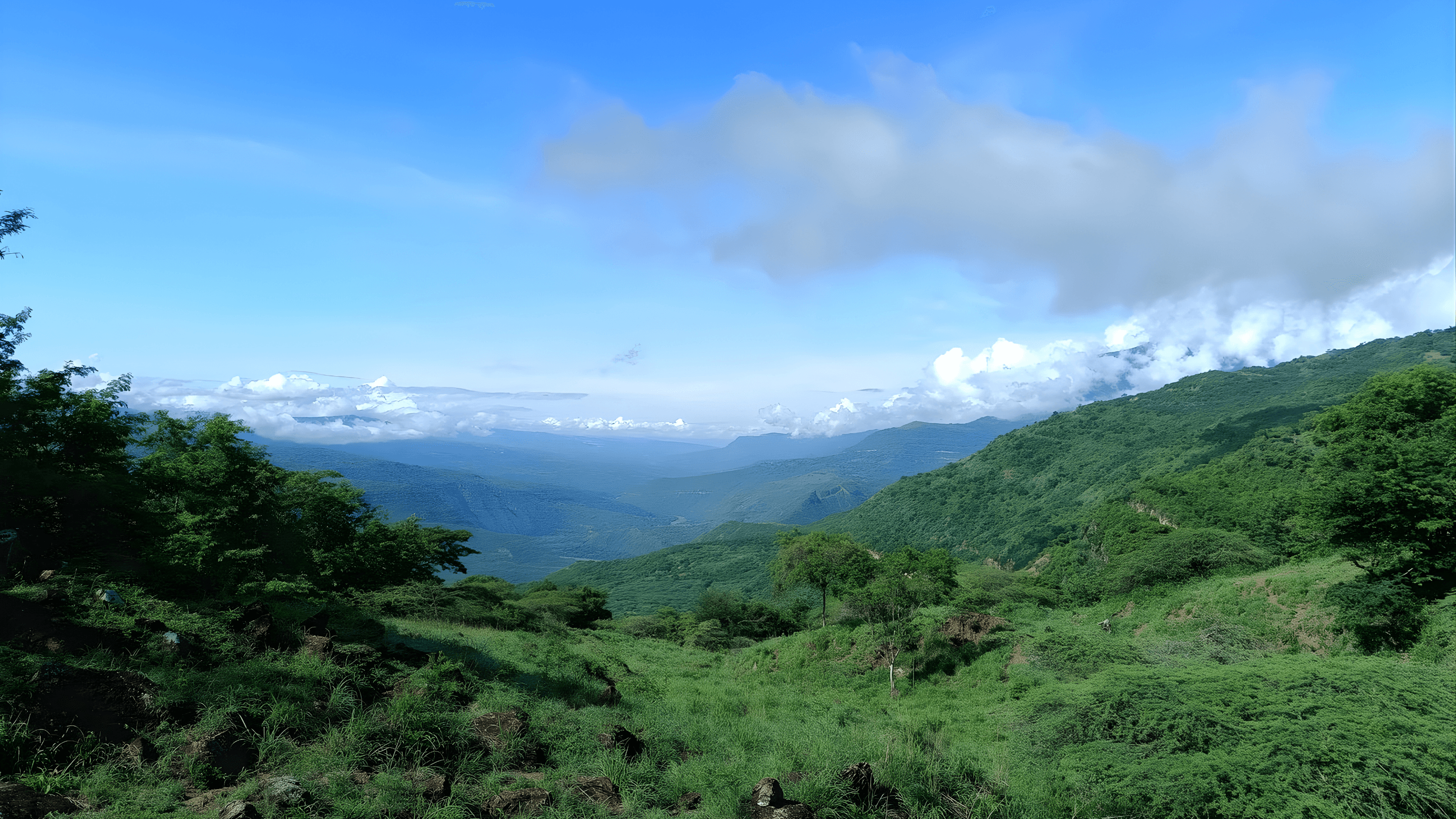 Imagen 3 para Zapatoca